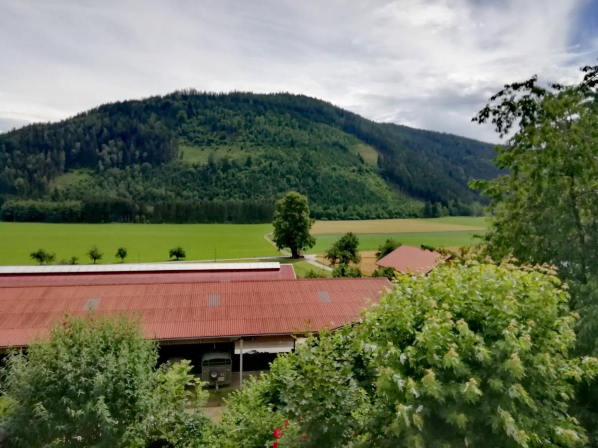 Ferienwohnung Erni Feldkirchen in Kärnten Екстериор снимка